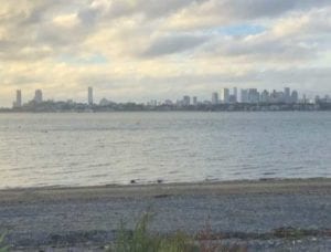 Thompson Island 4K Trail Run