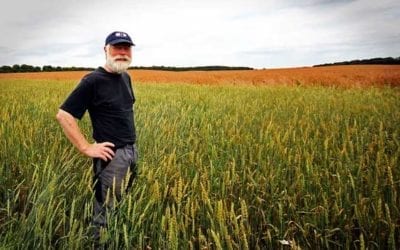 Relief on the horizon for farmers?