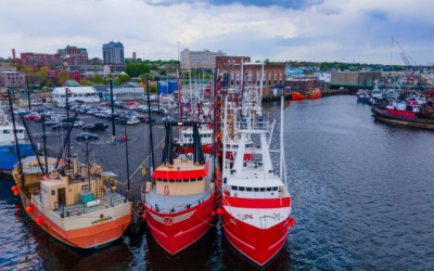 New England giant Blue Harvest Fisheries goes under | WEAREAQUACULTURE